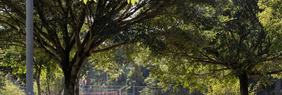 Kopstein Barão de Ubá - Praça da Encol